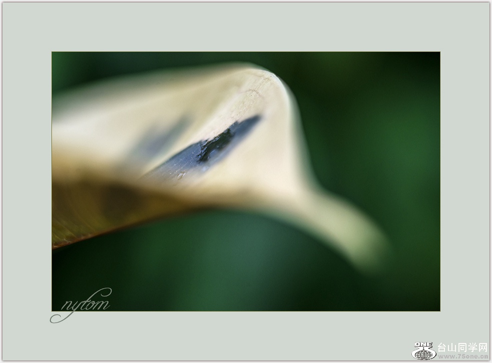 DSC_3368_.jpg