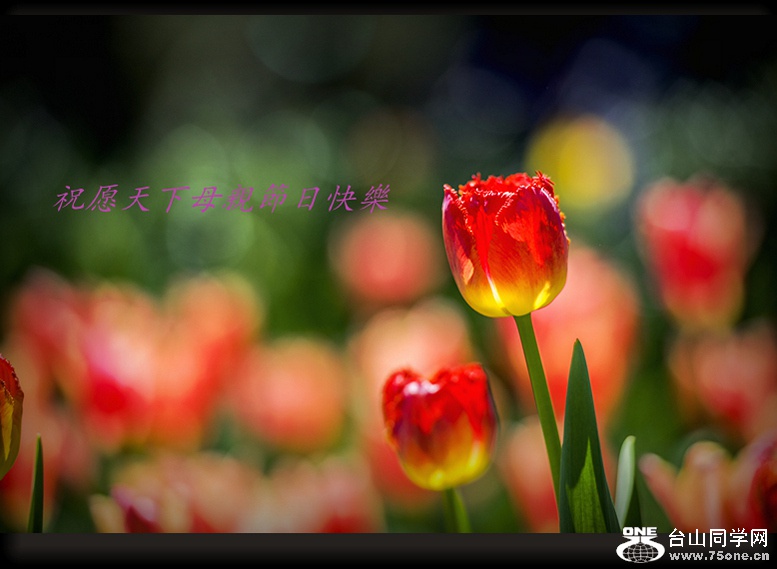 DSC_8335_.jpg