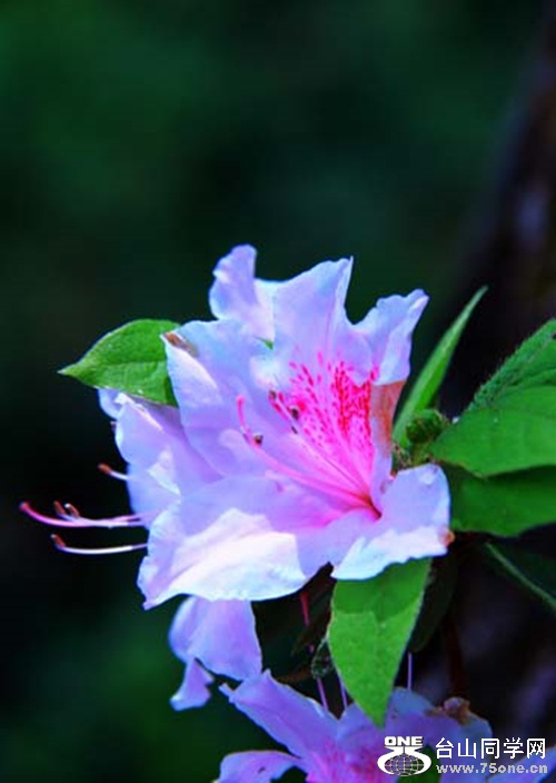 img_7838_.jpg