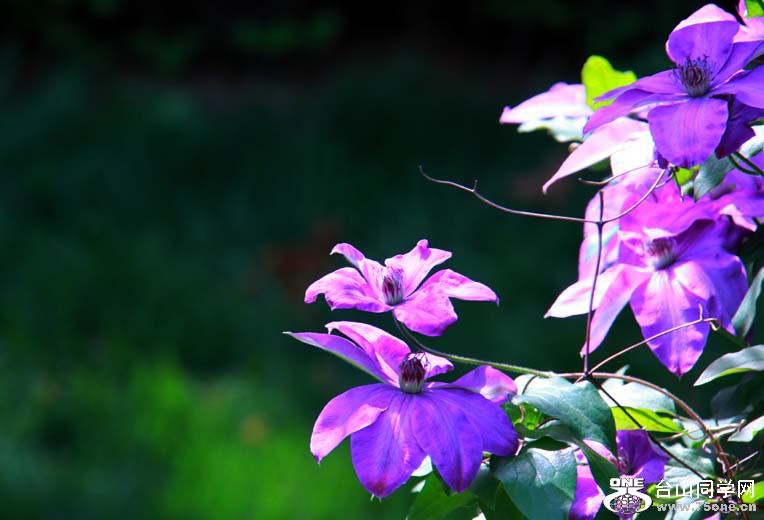 img_7807_.jpg