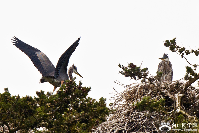 DSC_5478aa.jpg