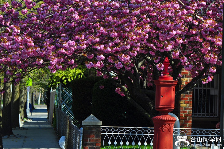 DSC_0169_.jpg