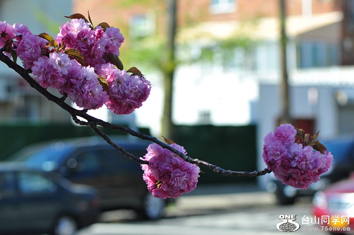 DSC_0176_.jpg