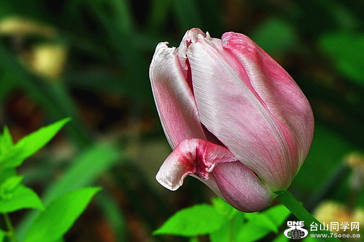 CSC_0339_.jpg