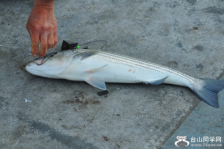 DSC_0417_.jpg