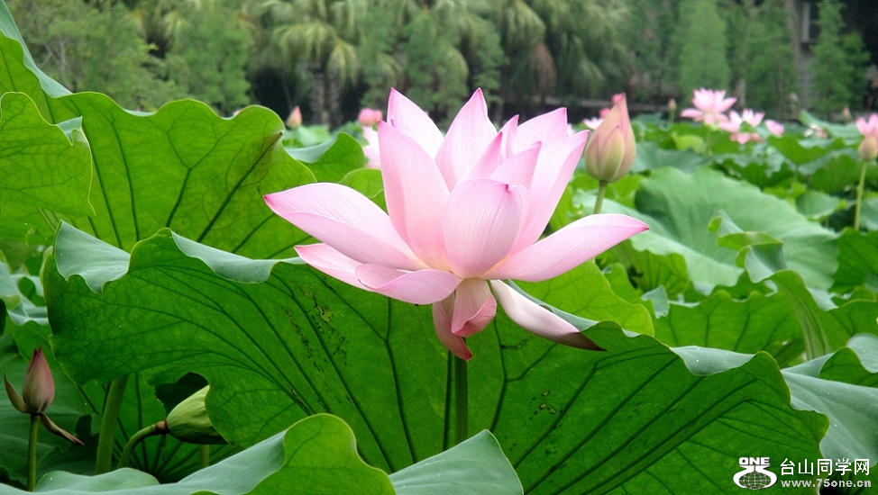 DSC02119_.jpg