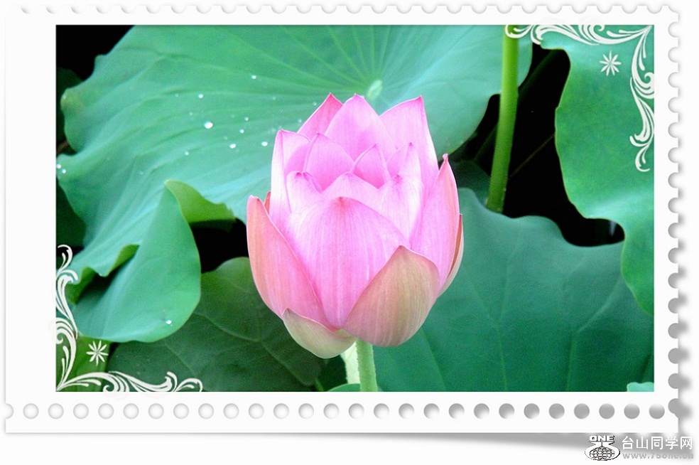 DSC01905_.jpg