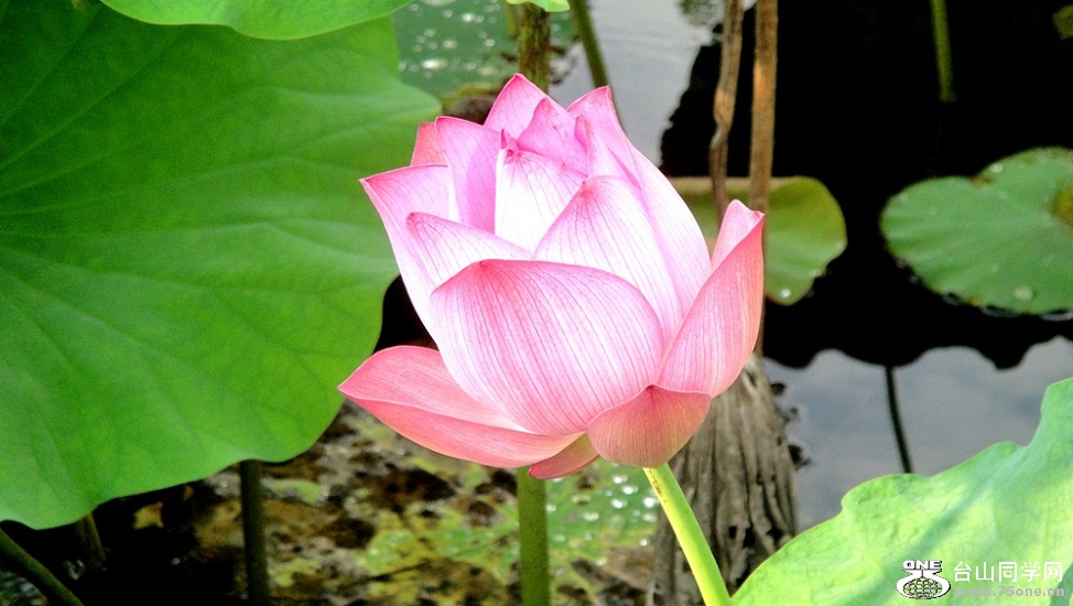 DSC02128_.jpg