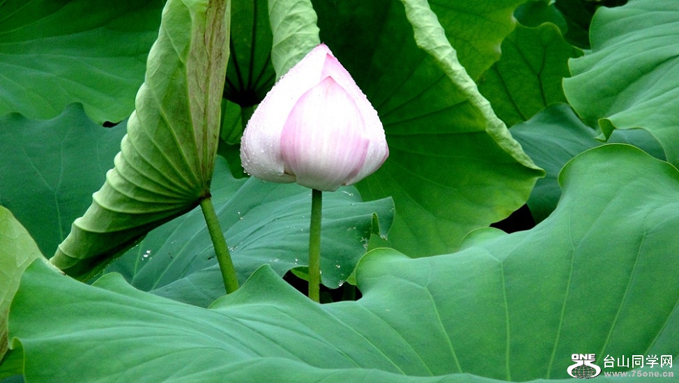 DSC01854_.jpg
