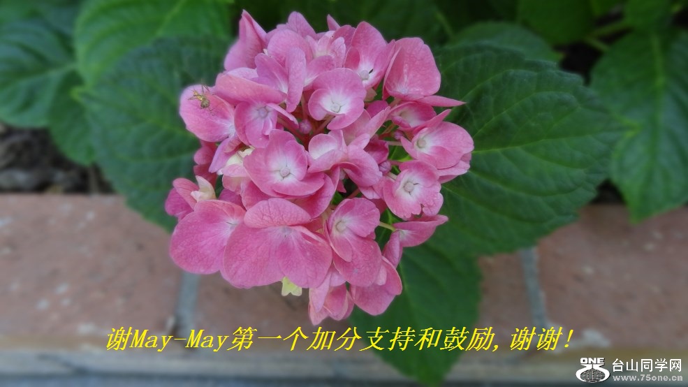 лMay-Mayһӷֺ֧͹,лл!.jpg