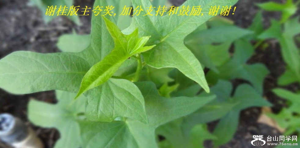 л佱,ӷֺ֧͹,лл!.jpg