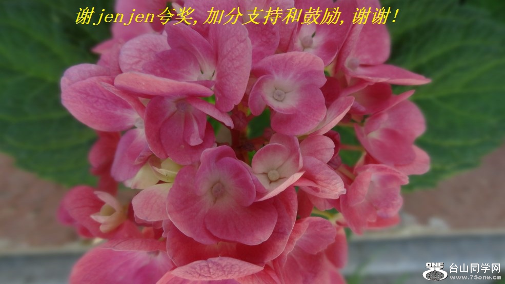 лjenjen佱,ӷֺ֧͹,лл!.jpg