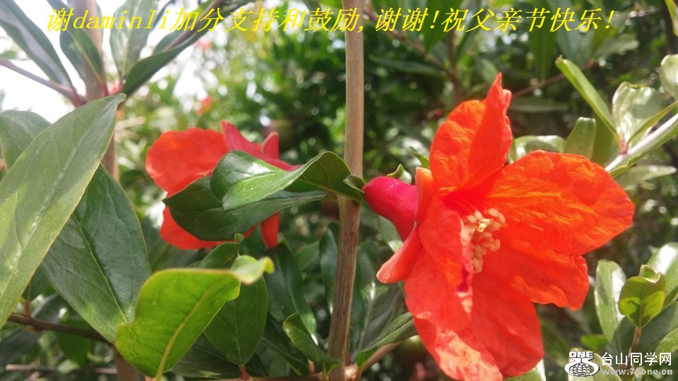 лdaminliӷֺ֧͹,лл!ף׽ڿ!.jpg
