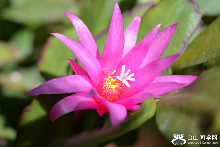 DSC_1207A.jpg