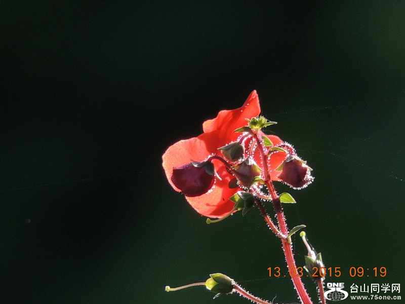 mix2015 068_.jpg