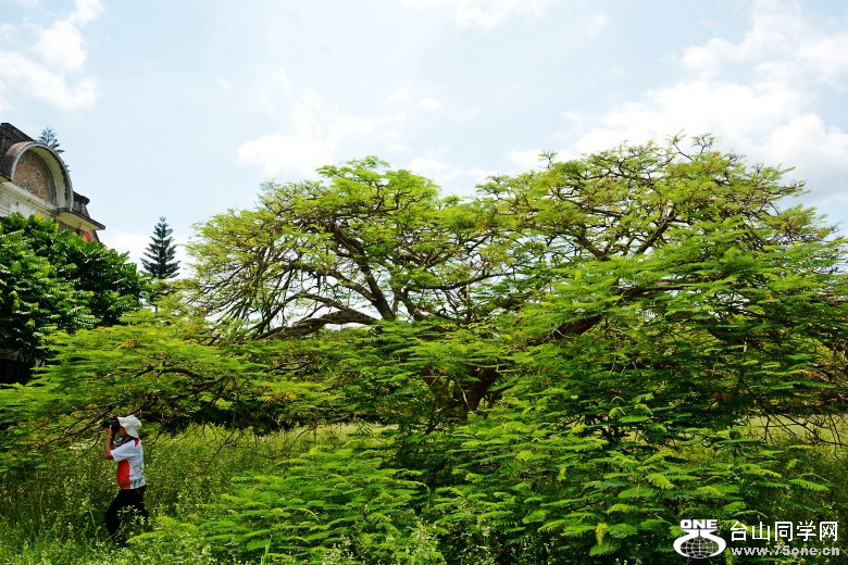 DSC_7420_conew1.jpg