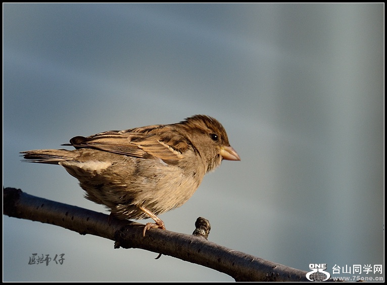 DSC_3391 -  (2)_.jpg