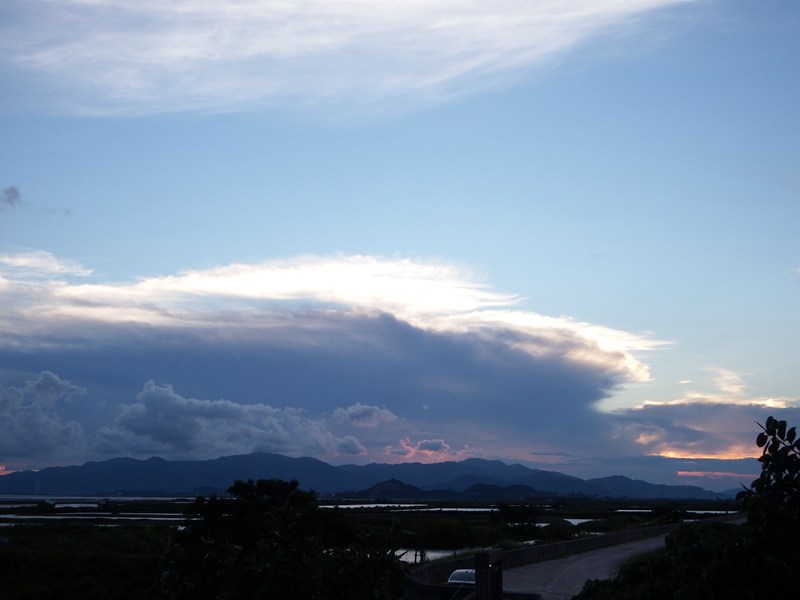 DSC_0416.jpg
