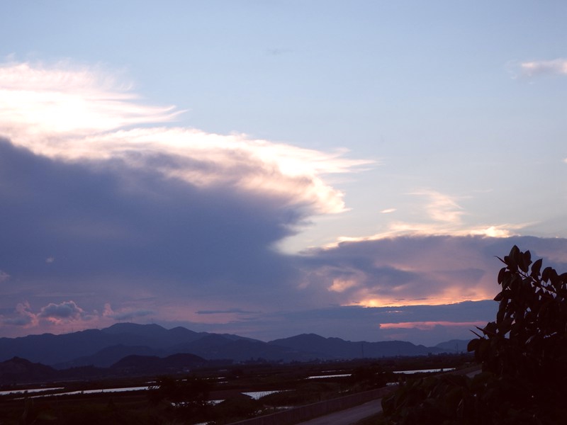 DSC_0414.jpg