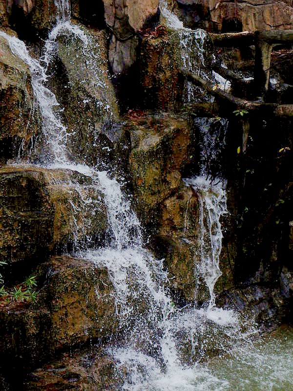DSC_3697.jpg