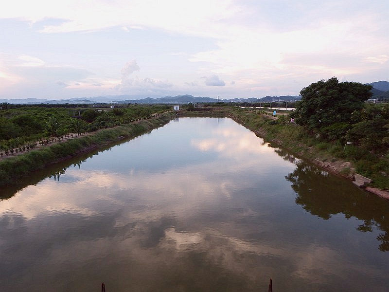 DSC_0405.jpg