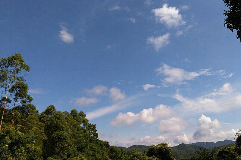 DSC_0012.jpg