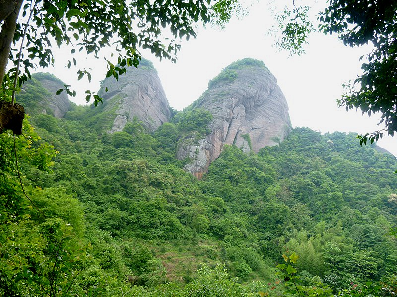 DSC_0009.jpg