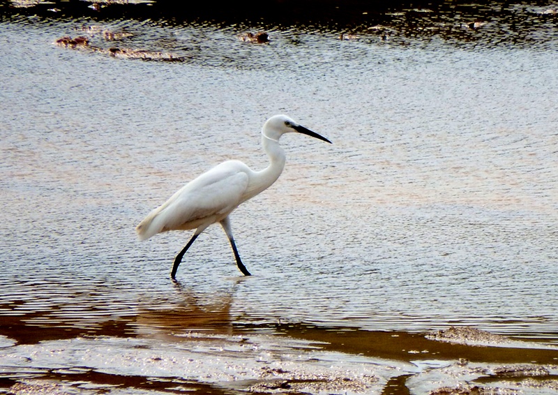 IMG_6010.jpg