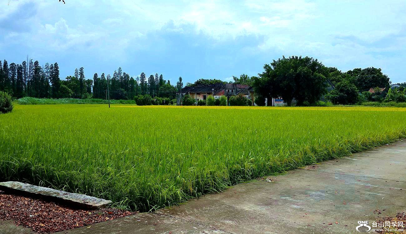 20150622_143305.jpg