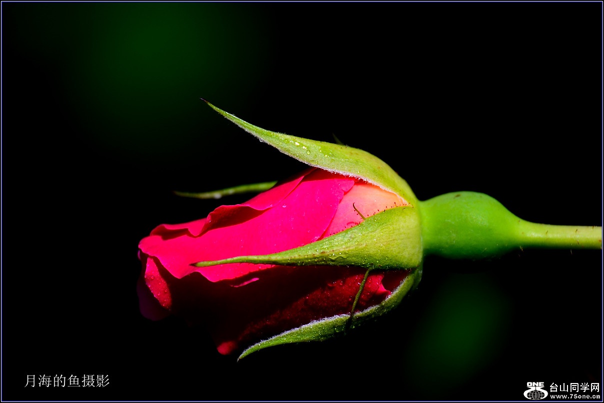 DSC_8880_.jpg