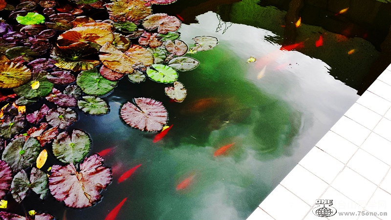 20150530_085513.jpg