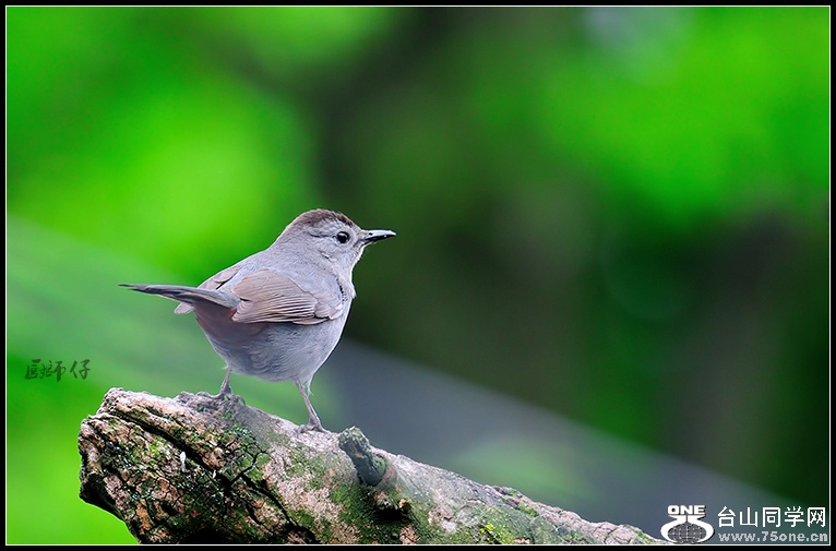 DSC_6206.jpg
