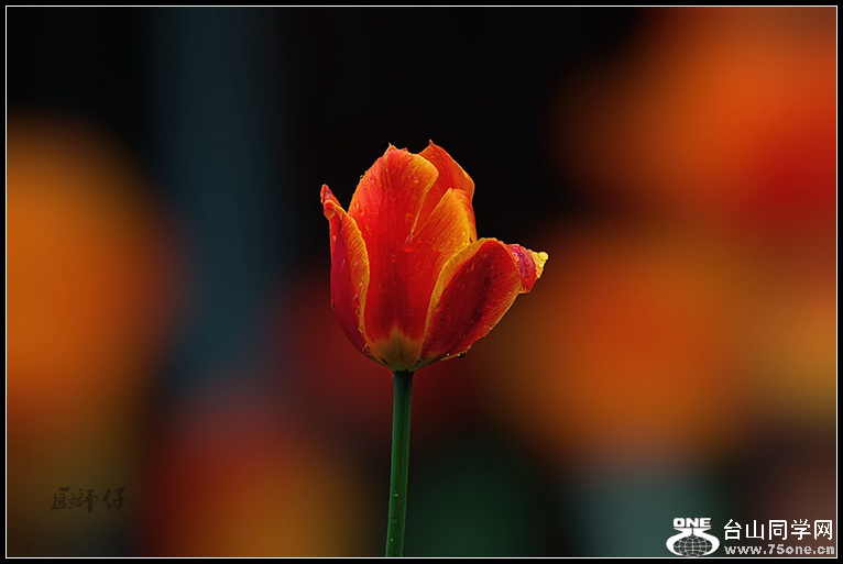 DSC_5025.jpg