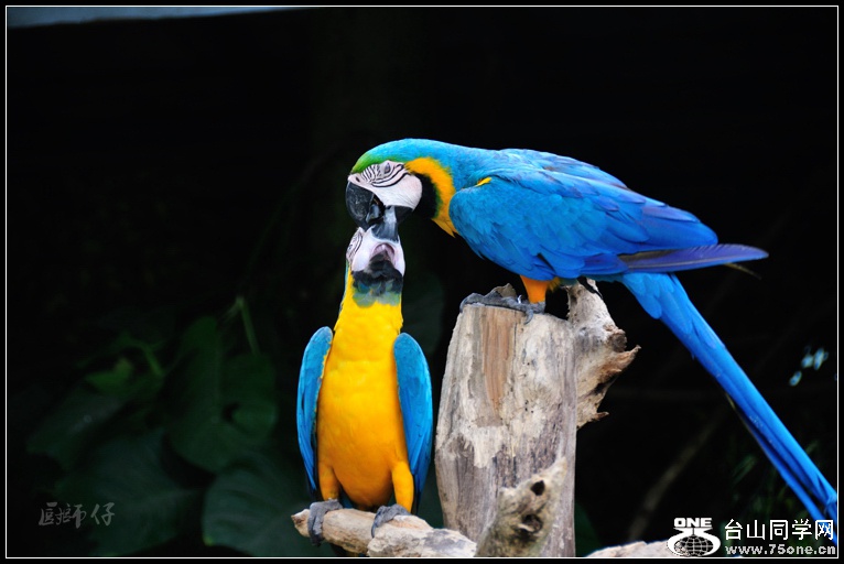 DSC_9288.jpg