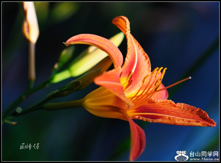 DSC_2400_.jpg