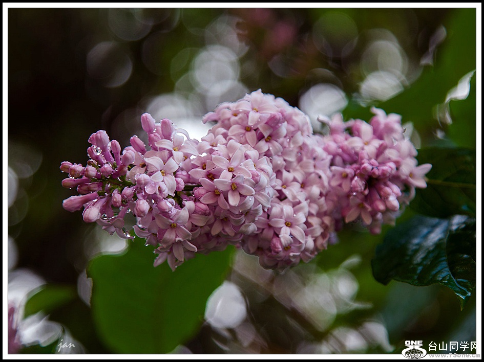 IMG_6870 b.jpg