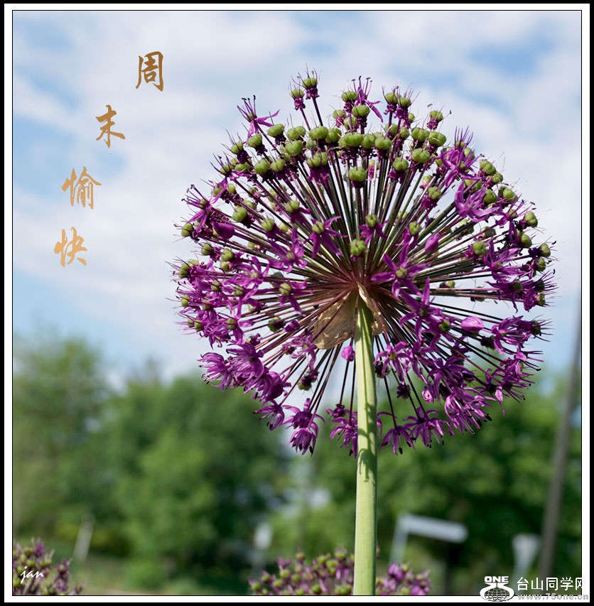 DSC06082-a.jpg