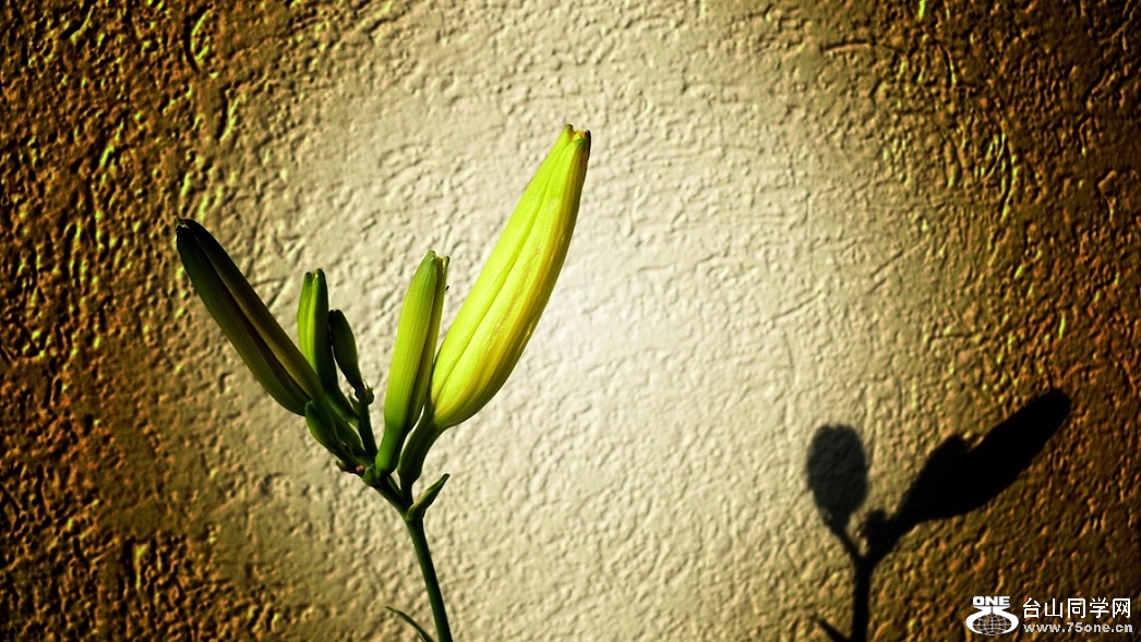 l2350446_conew1.jpg