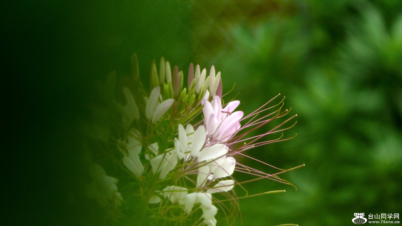 l2360186_conew1.jpg