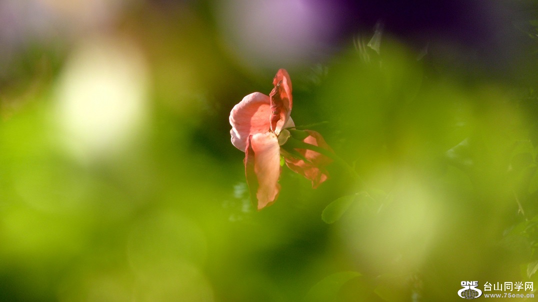 l2340895_conew1.jpg
