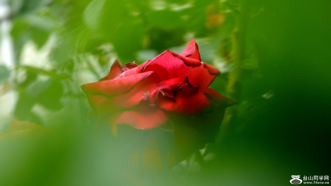 l2340986_conew1.jpg