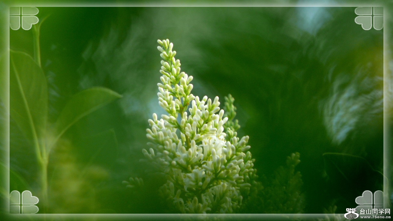 l2350871_conew1.jpg