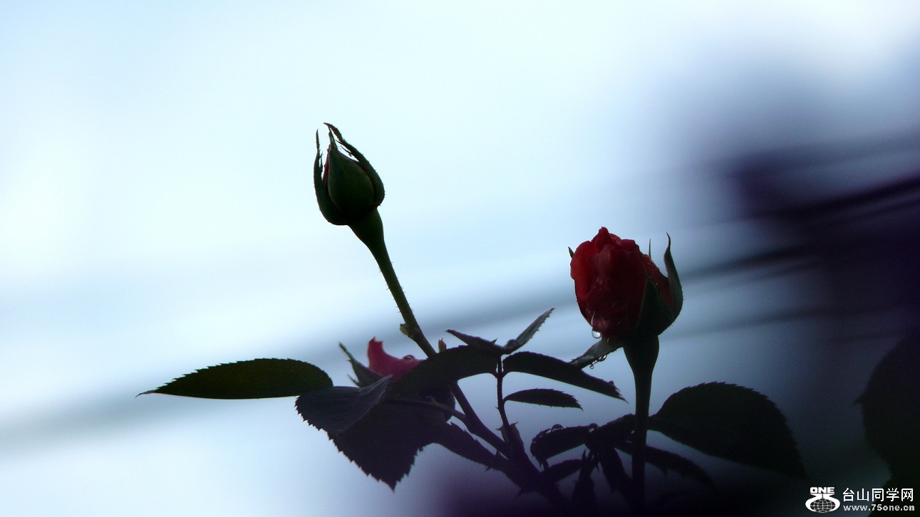 l2350002_conew1.jpg