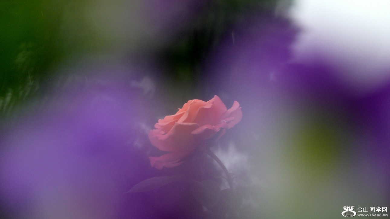 l2360142_conew1.jpg