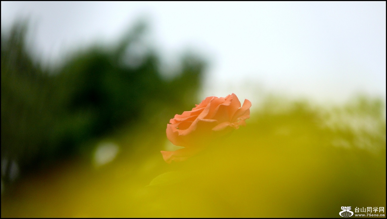 l2360160_conew1.jpg