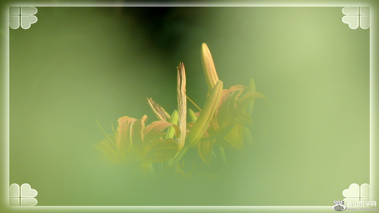l2350793_conew2.jpg