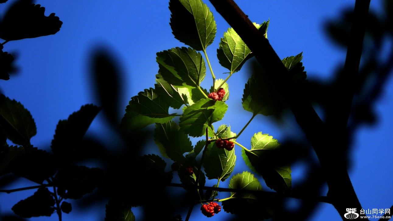 l2340694_conew1.jpg