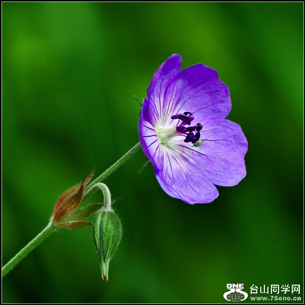 _DSC8242_.jpg