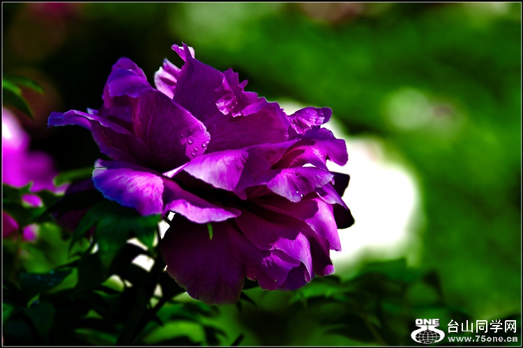 _DSC8320_.jpg