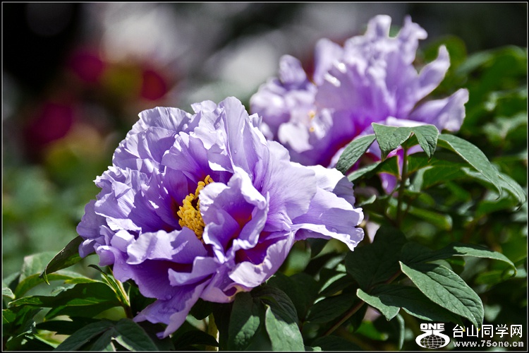 _DSC8426_.jpg